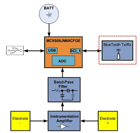 MCU processes heart rate signals